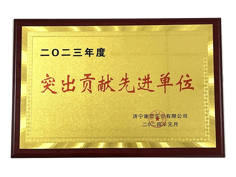 突出貢獻(xiàn)-謝營 白底800.jpg 突出貢獻(xiàn)-謝營 白底800.jpg